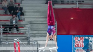 serie a1 sfe02500 copia copia simone ferraro ph